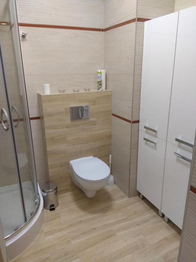 Flamingo Studio Apartments ミエンジズドロイェ エクステリア 写真