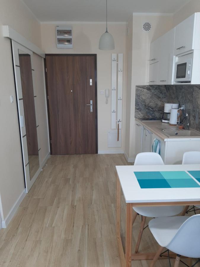 Flamingo Studio Apartments ミエンジズドロイェ エクステリア 写真